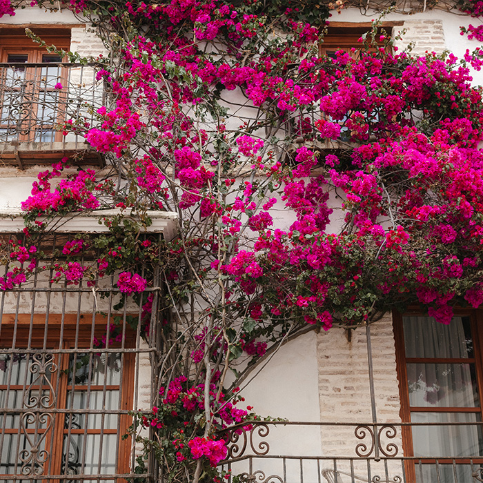 Evara Living Spain Marbella house Evara Living Spain Marbella house